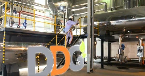 DDG đối diện nguy cơ hủy niêm yết sau chuỗi kinh doanh thua lỗ kéo dài