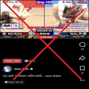 nv01.png