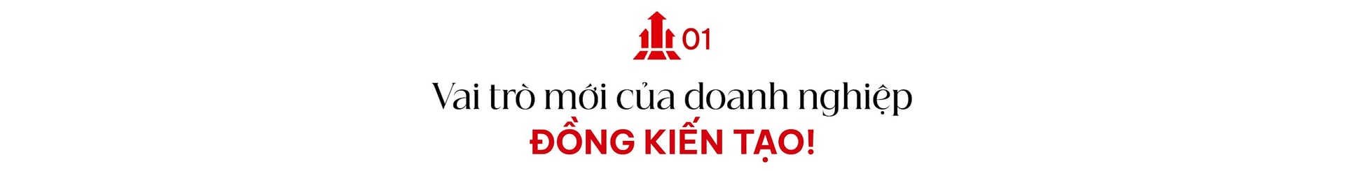 tdt-web-03.jpg