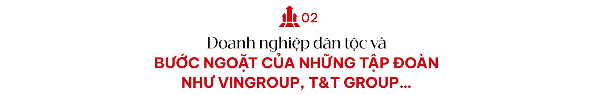 tdt-web-06.jpg
