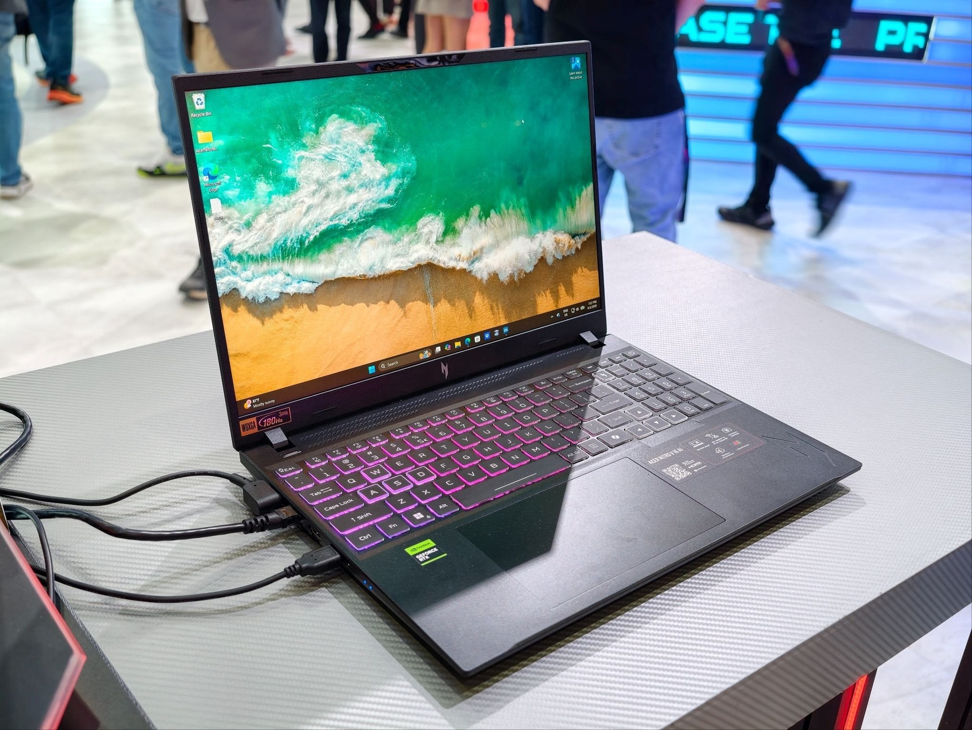 acer5.jpg