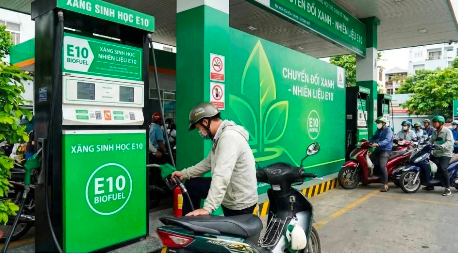 Lời giải cho nỗi lo xăng E10: Không Chính phủ nào lại đi bơm "máu bẩn" vào nền kinh tế
