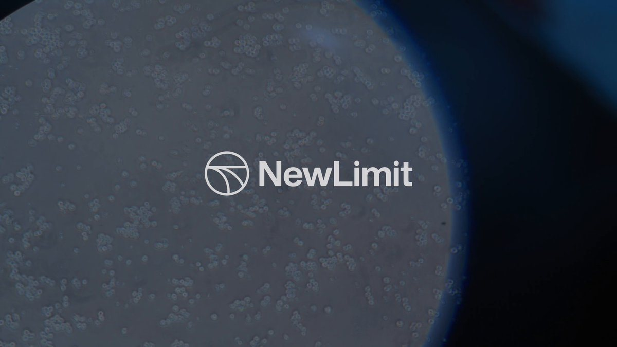 newlimit-1.png