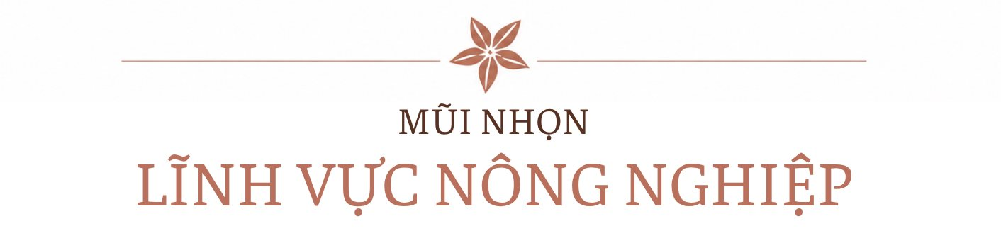 toan-canh-3-.png