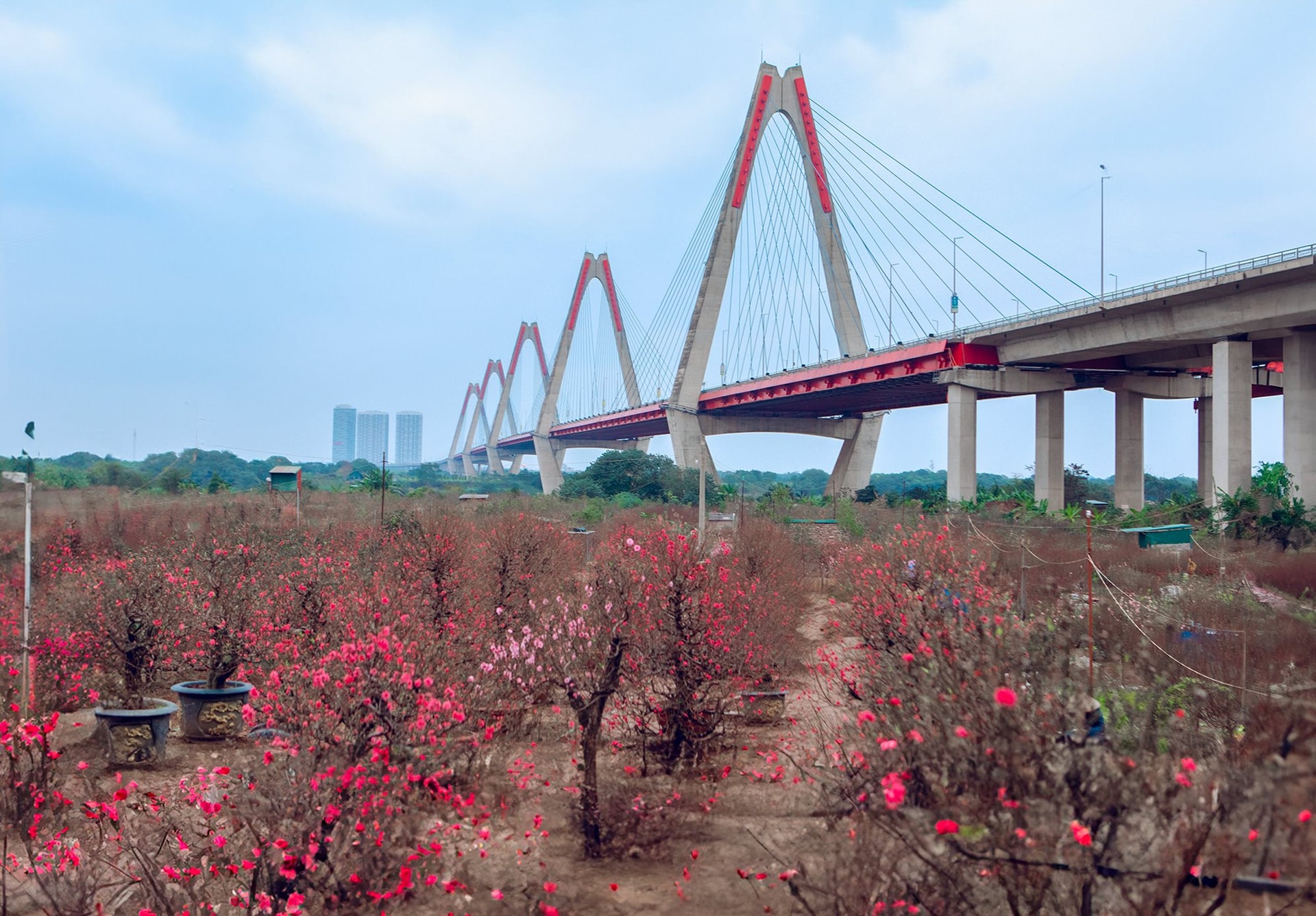 canh-quan-song-hong13.jpg