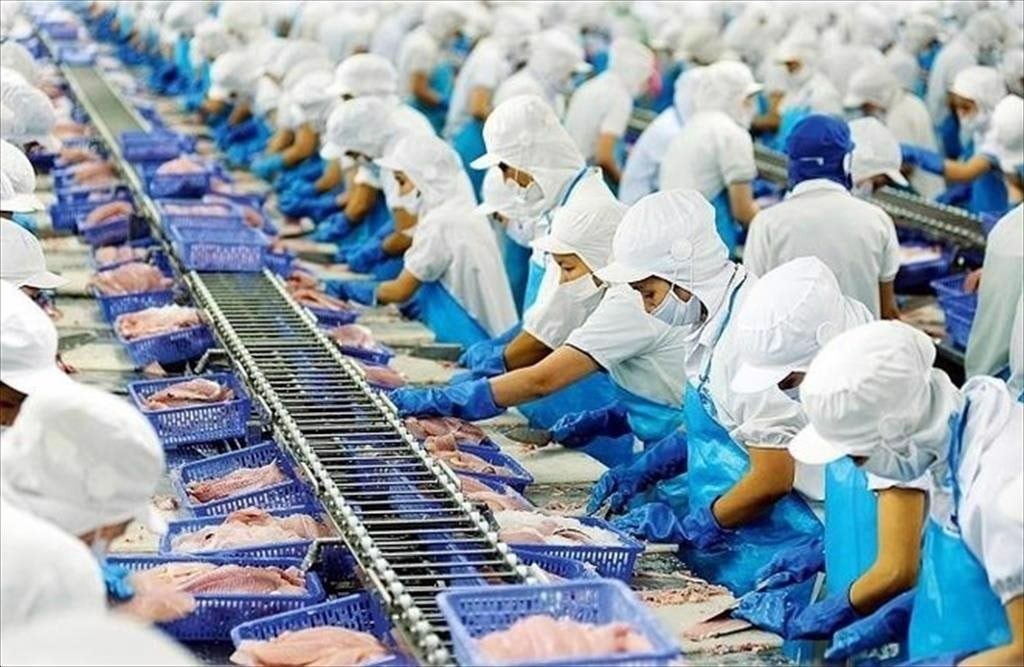 Vĩnh Hoàn trước triển vọng thuận lợi của ngành cá tra, cổ phiếu VHC được kỳ vọng tăng 30%