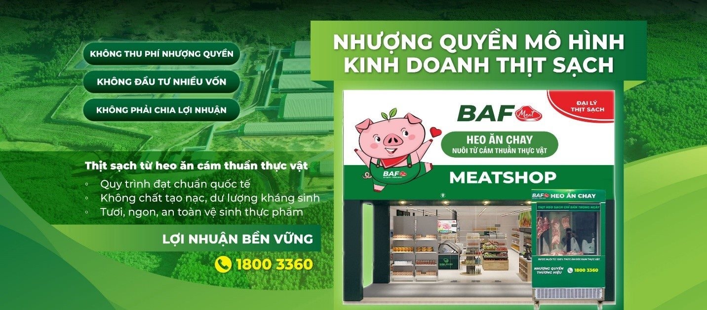 baf1.jpg