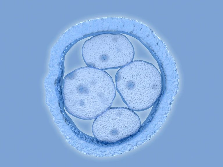 Lần đầu chỉnh sửa gene phôi người thành công: Cánh cửa chữa bệnh hay tương lai trí thông minh, chiều cao mua được bằng tiền?