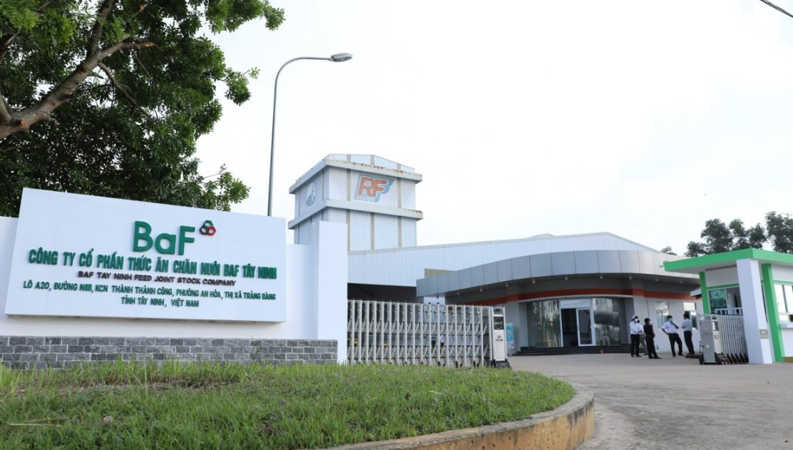 BAF Việt Nam (BAF) sắp phát hành 60,8 triệu cổ phiếu cho cổ đông hiện hữu