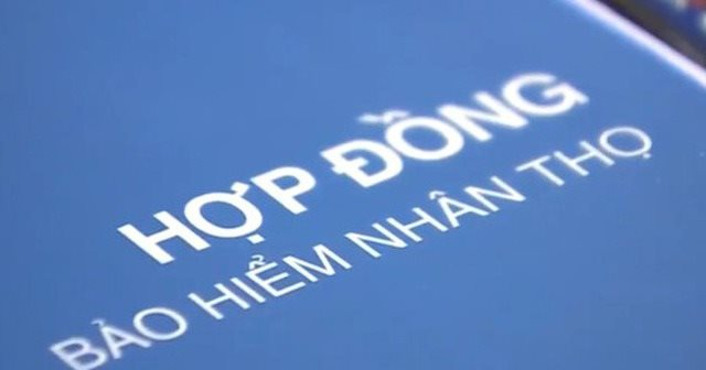 Xuất hiện công ty bảo hiểm nhân thọ hoàn toàn mới tại Việt Nam