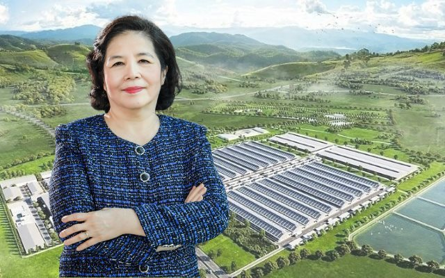 Bà Mai Kiều Liên ký một văn bản quan trọng, dự kiến thu về gần 1.200 tỷ đồng 