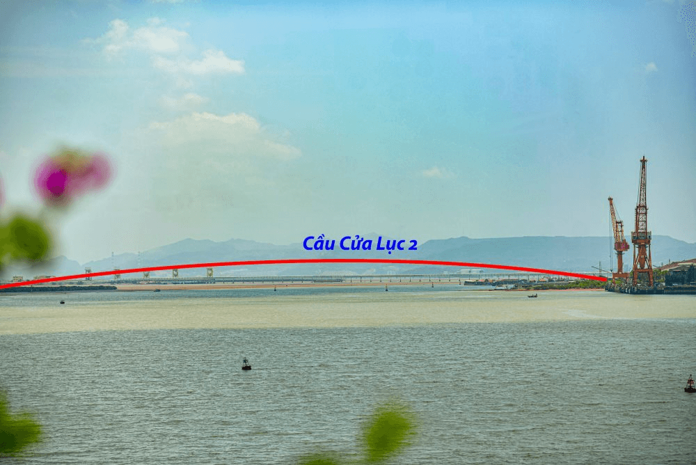 cuu-luc1.png