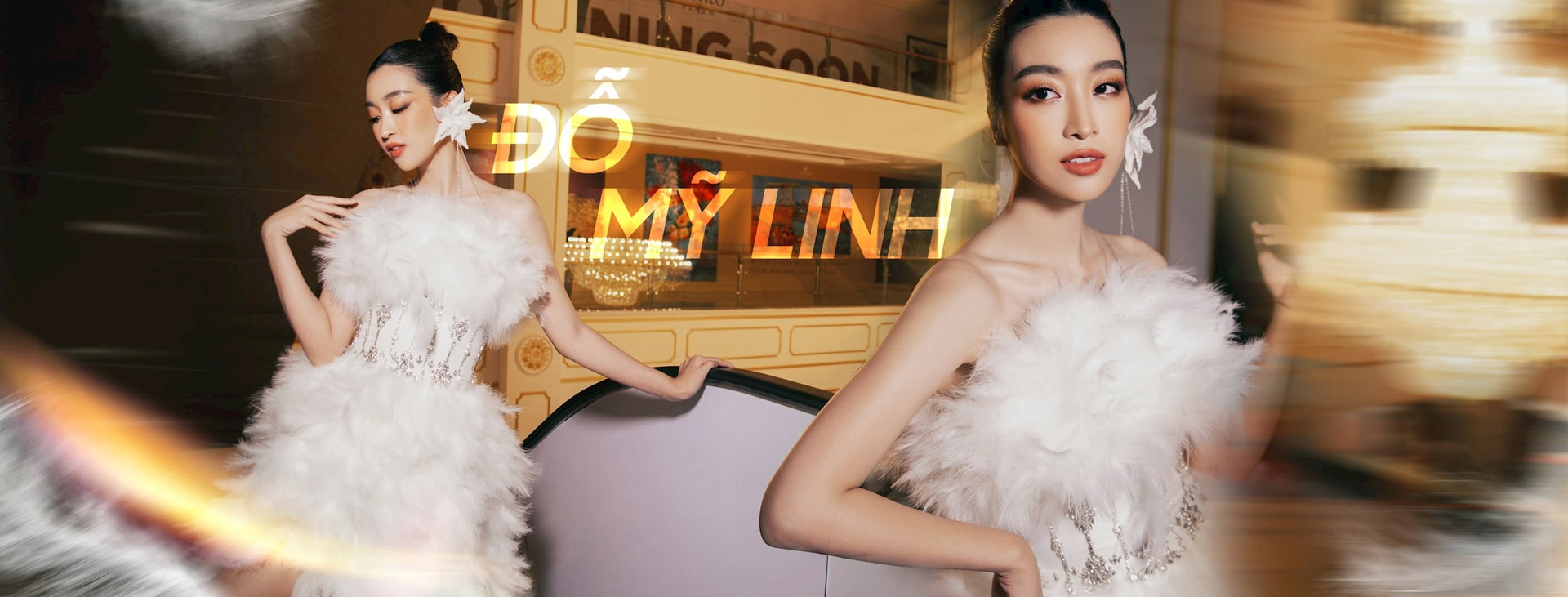 do-my-linh.png