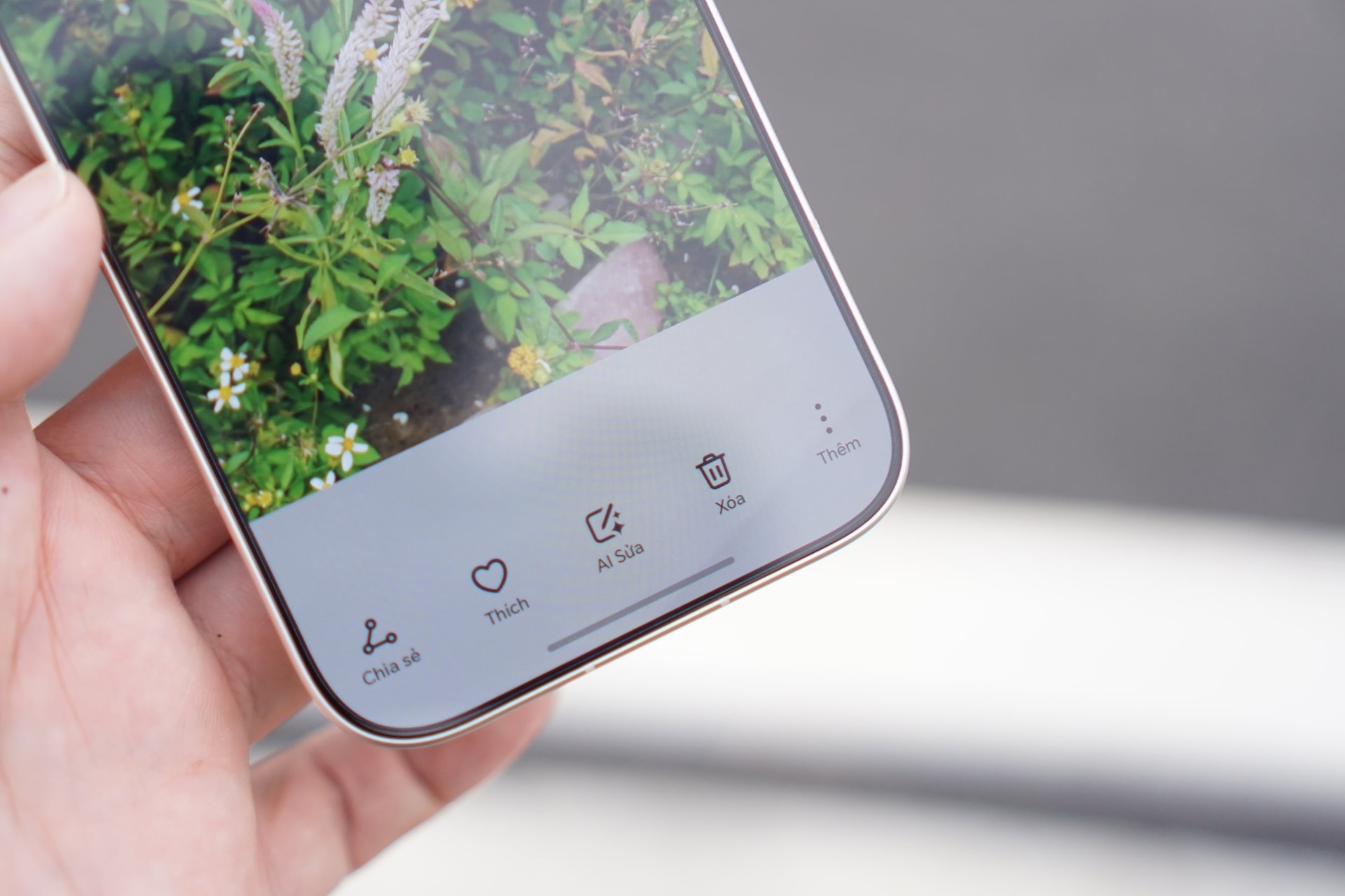 honor6.jpeg