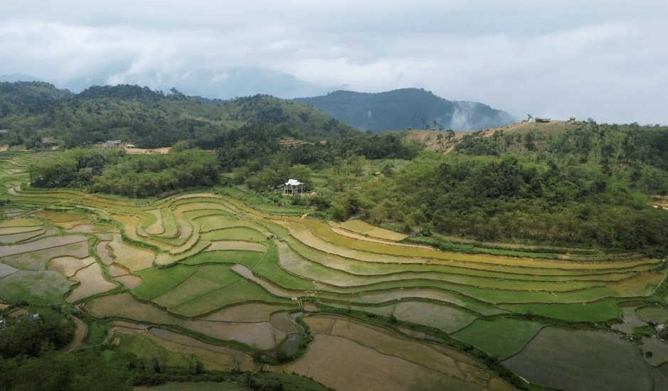du-an-doi-thung-quy-hoa.png