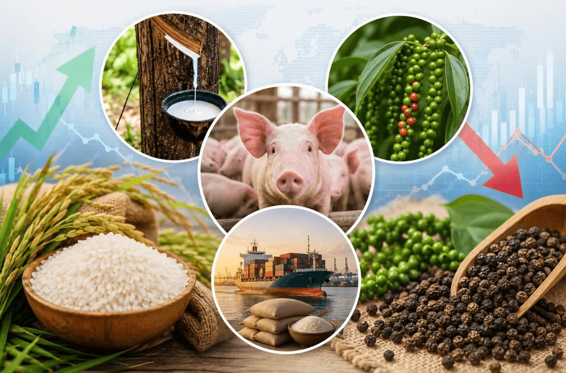 Thị trường hàng hoá 19/6: Giá gạo xuất khẩu tăng,  hồ tiêu duy trì ổn định