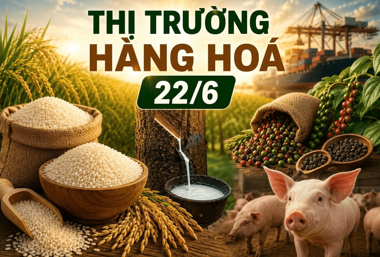 Thị trường hàng hoá ngày 22/6: Hồ tiêu mất mốc 140.000 đồng/kg, gạo và heo hơi giữ giá