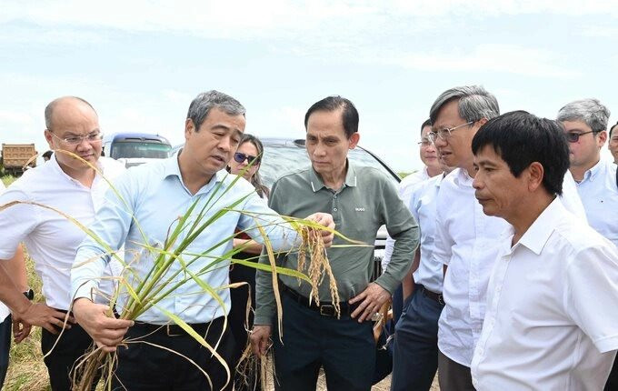 Gặp Bộ trưởng Việt Nam, Bí thư Tỉnh ủy Cuba “ngỏ lời” về lĩnh vực DN Việt lập kỳ tích 9 tấn/ha ở nước bạn