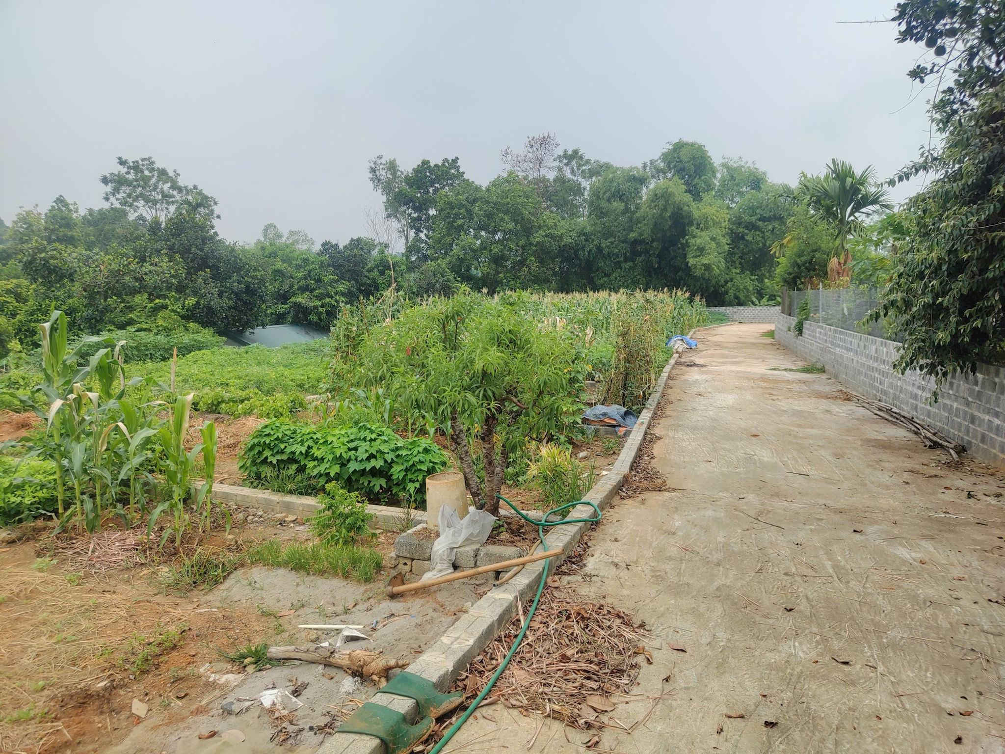 Đầu cơ gặp khó, dòng tiền tìm đến bất động sản mang “giá trị thật”