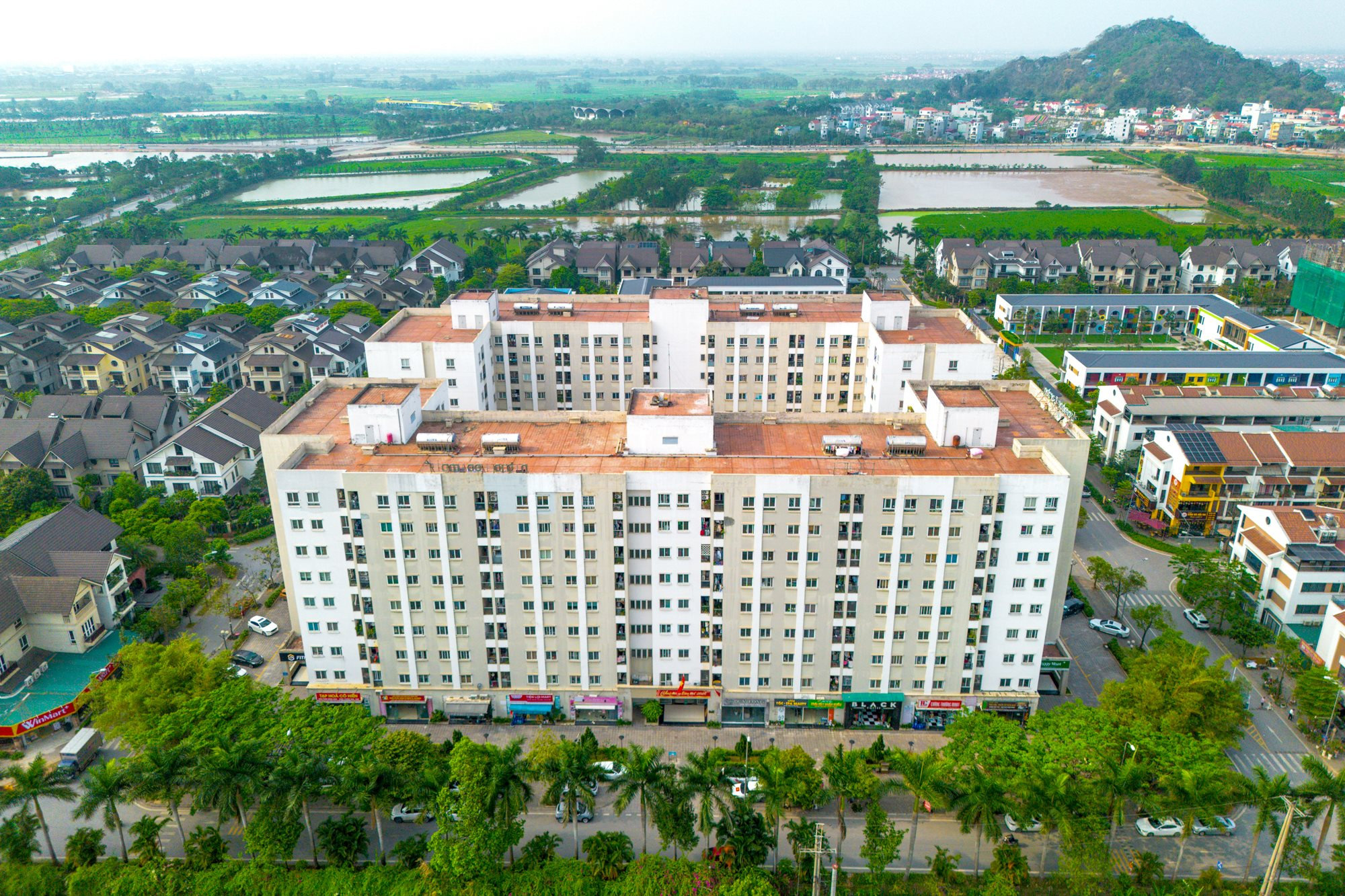 him-lam-long-bien-12.jpg