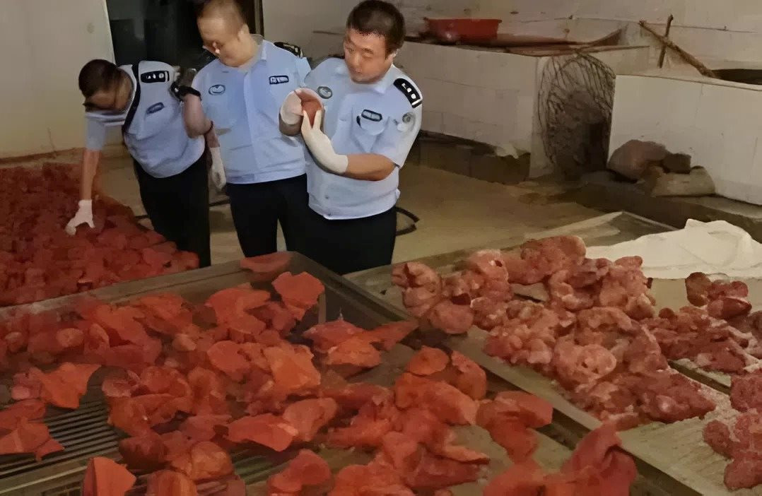 Theo dõi suốt 2 tháng, phanh phui đường dây sản xuất thịt giả doanh thu 19 tỷ đồng, thu giữ 2,2 tấn thịt chất thành "núi"