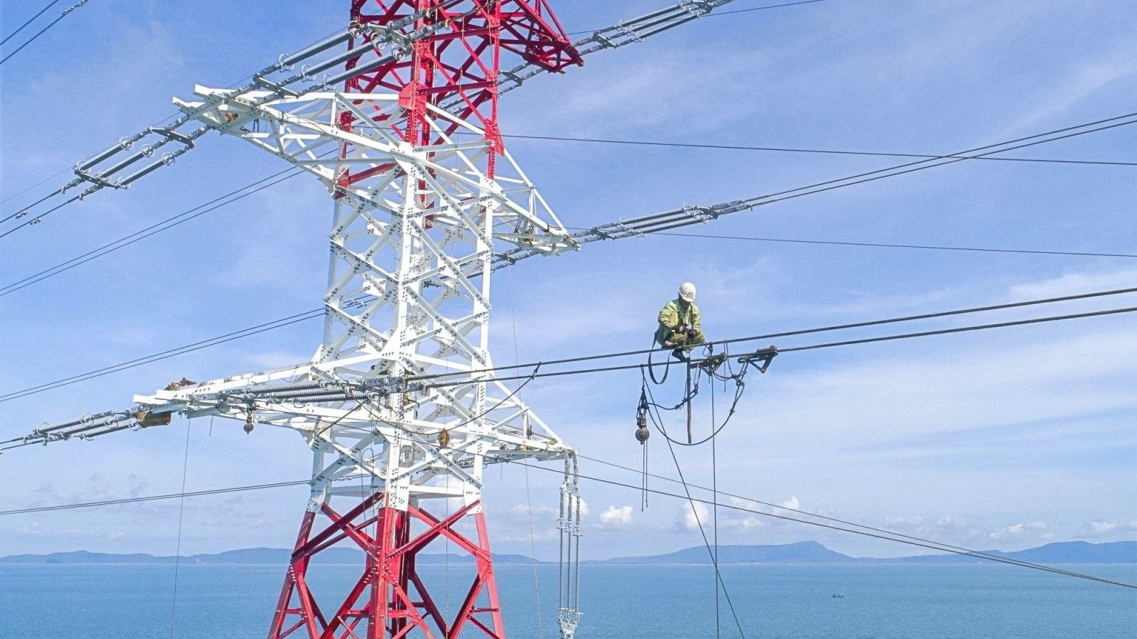 Một công ty con của EVN bị cả 4 Công ty Big4 từ chối kiểm toán sau khi Chủ tịch HĐQT bị khởi tố