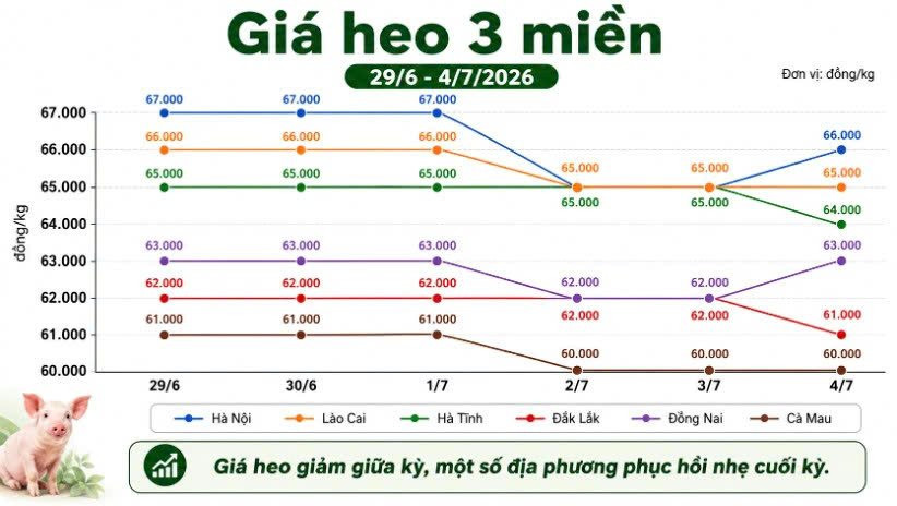 a4.jpg