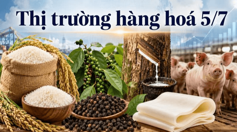 Thị trường hàng hóa ngày 5/7: Gạo, hồ tiêu đi ngang, heo hơi phân hóa