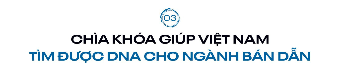 chip-web-20.jpg