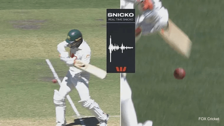 alex-carey-snicko-fox-cricket-121825.png