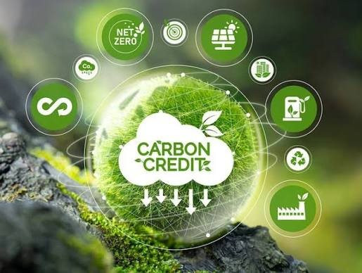 san-giao-dich-carbon.jpg