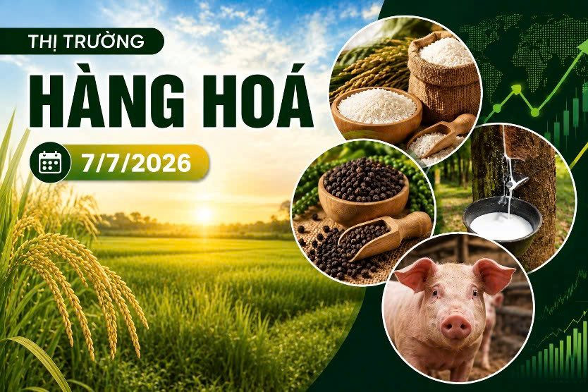 Thị trường hàng hóa ngày 7/7: Cao su thế giới tăng, heo hơi giảm cục bộ tại miền Bắc