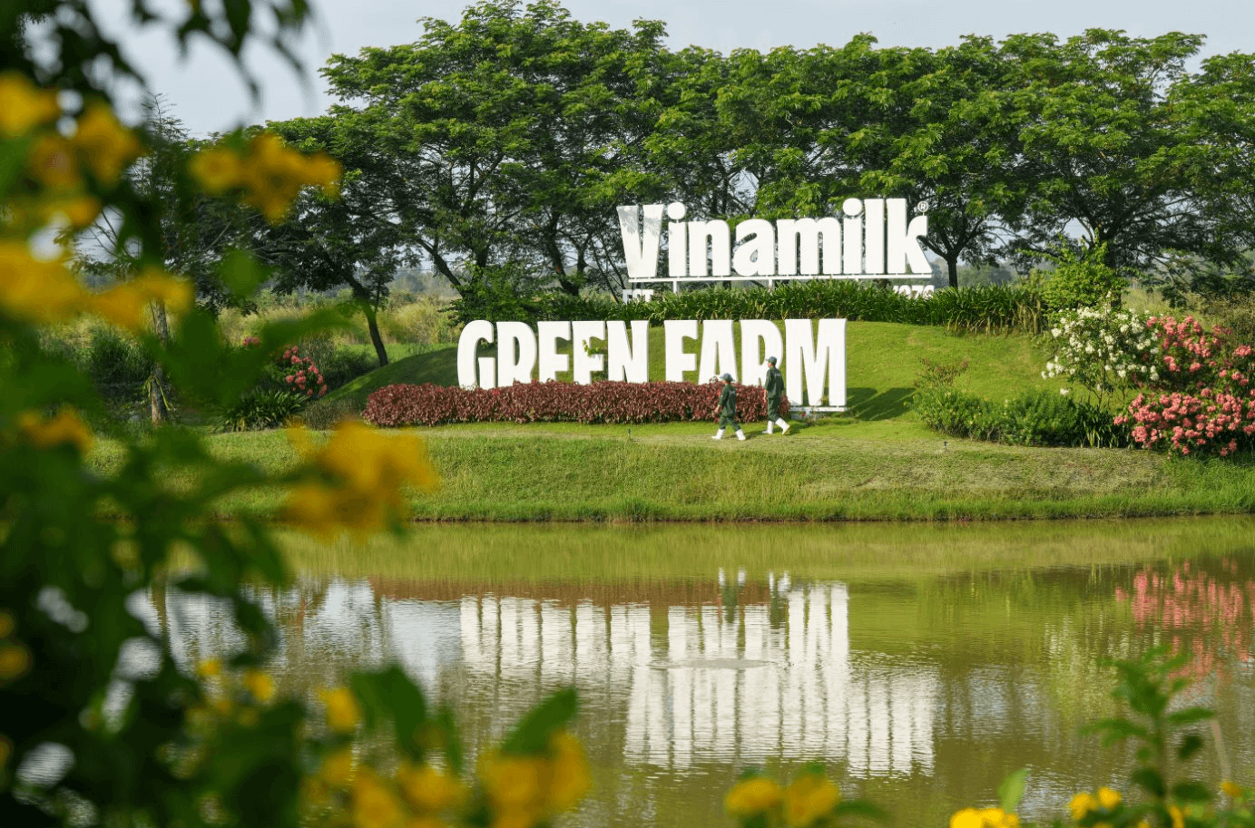 SCIC sắp nhận thêm gần 1.400 tỷ đồng cổ tức từ Vinamilk (VNM)