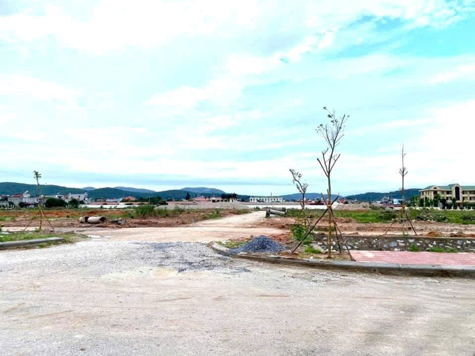 Chuyên gia Savills: Đổi mới cơ chế định giá đất sẽ “xoá bỏ” điểm nghẽn thị trường