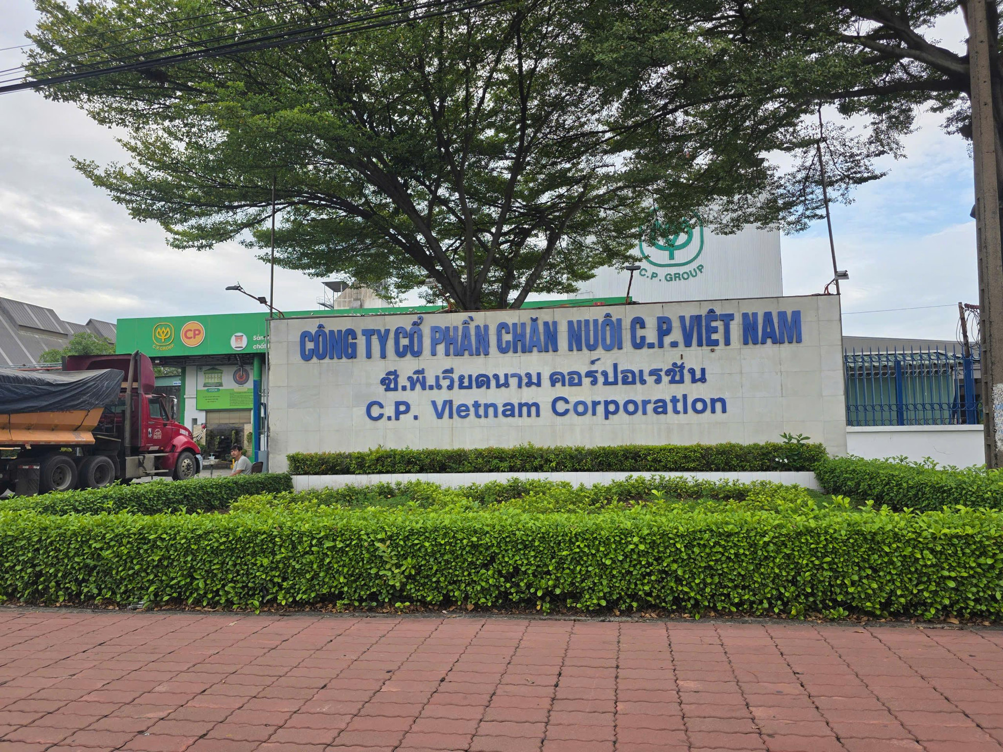 "Đế chế" nông nghiệp Thái Lan thu gần 20.000 tỷ đồng từ Việt Nam, vẫn chưa muốn dừng lại