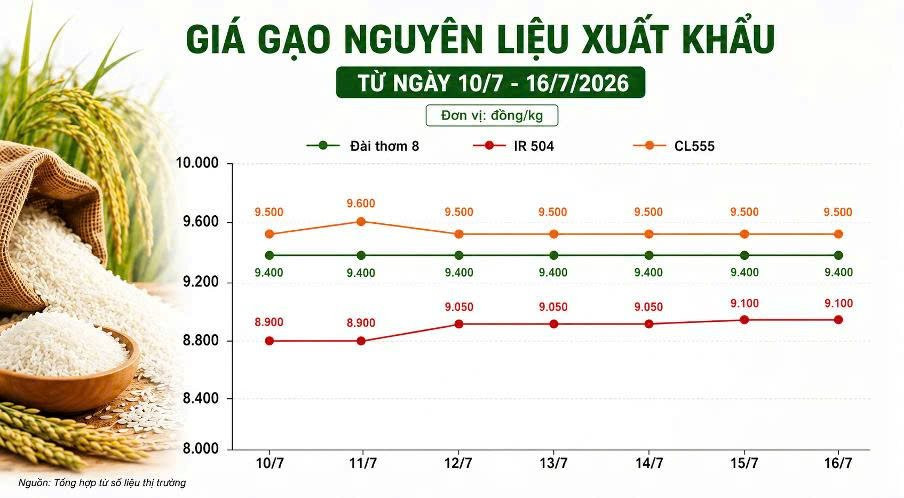 Thị trường hàng hóa ngày 16/7: Hồ tiêu phục hồi, cao su và heo hơi đồng loạt tăng