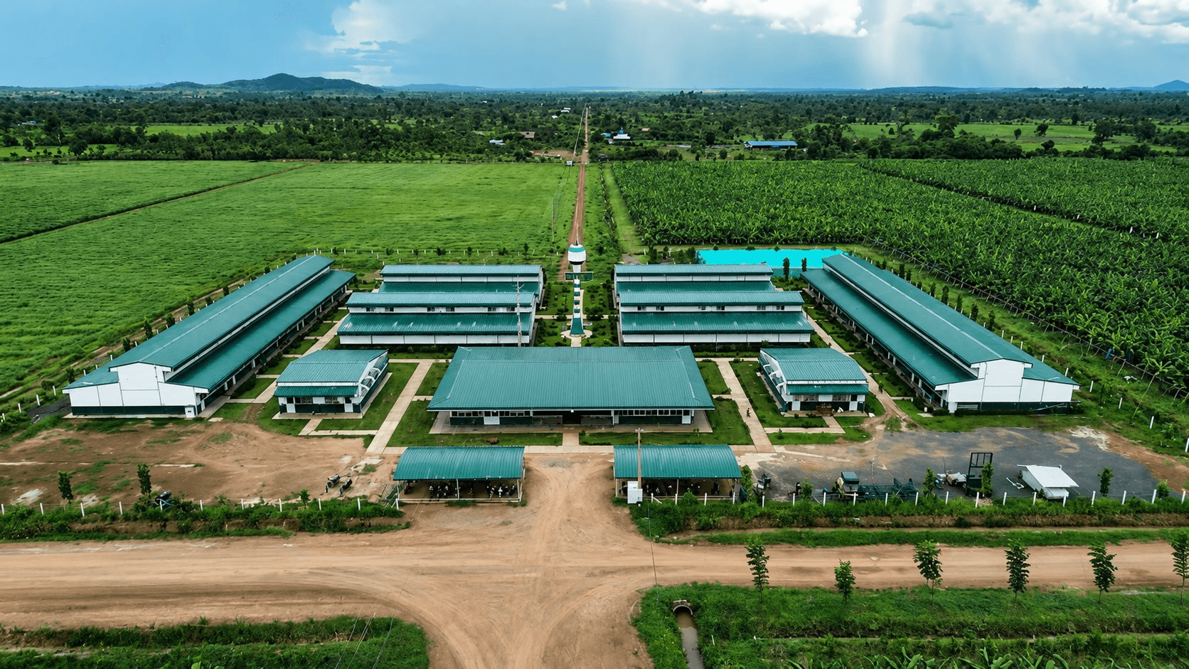 Công ty nông nghiệp của tỷ phú Trần Bá Dương báo lãi gấp 6 lần, nợ vượt 2,59 tỷ USD
