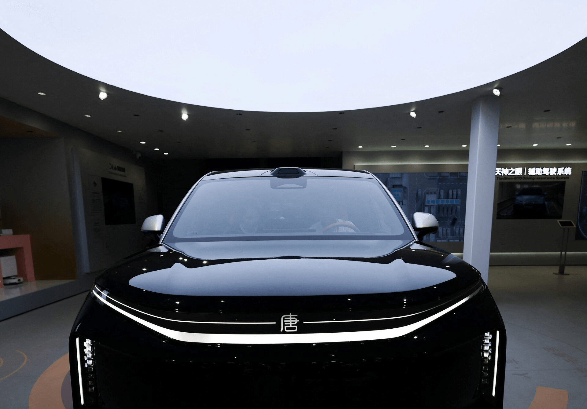 byd3.png