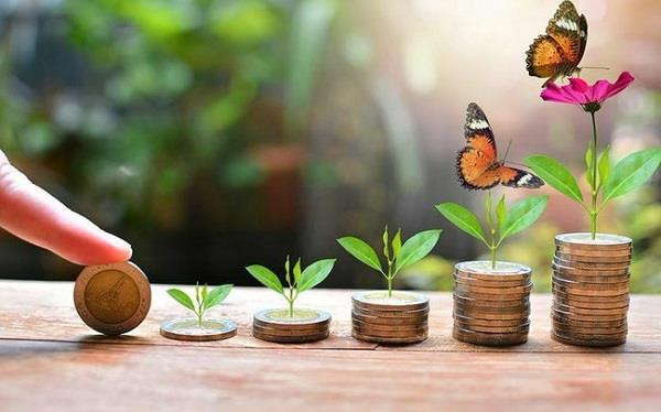 Chuyên gia chỉ ra nhóm DN vừa trả cổ tức tiền mặt đều, vừa đảm bảo tiềm năng tăng trưởng dài hạn