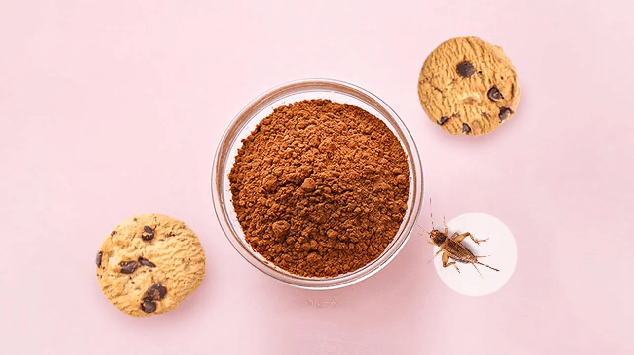 Bong bóng protein côn trùng xì hơi: Hàng trăm triệu USD đầu tư bốc hơi, vì sao "tương lai của thực phẩm" lại gục ngã?