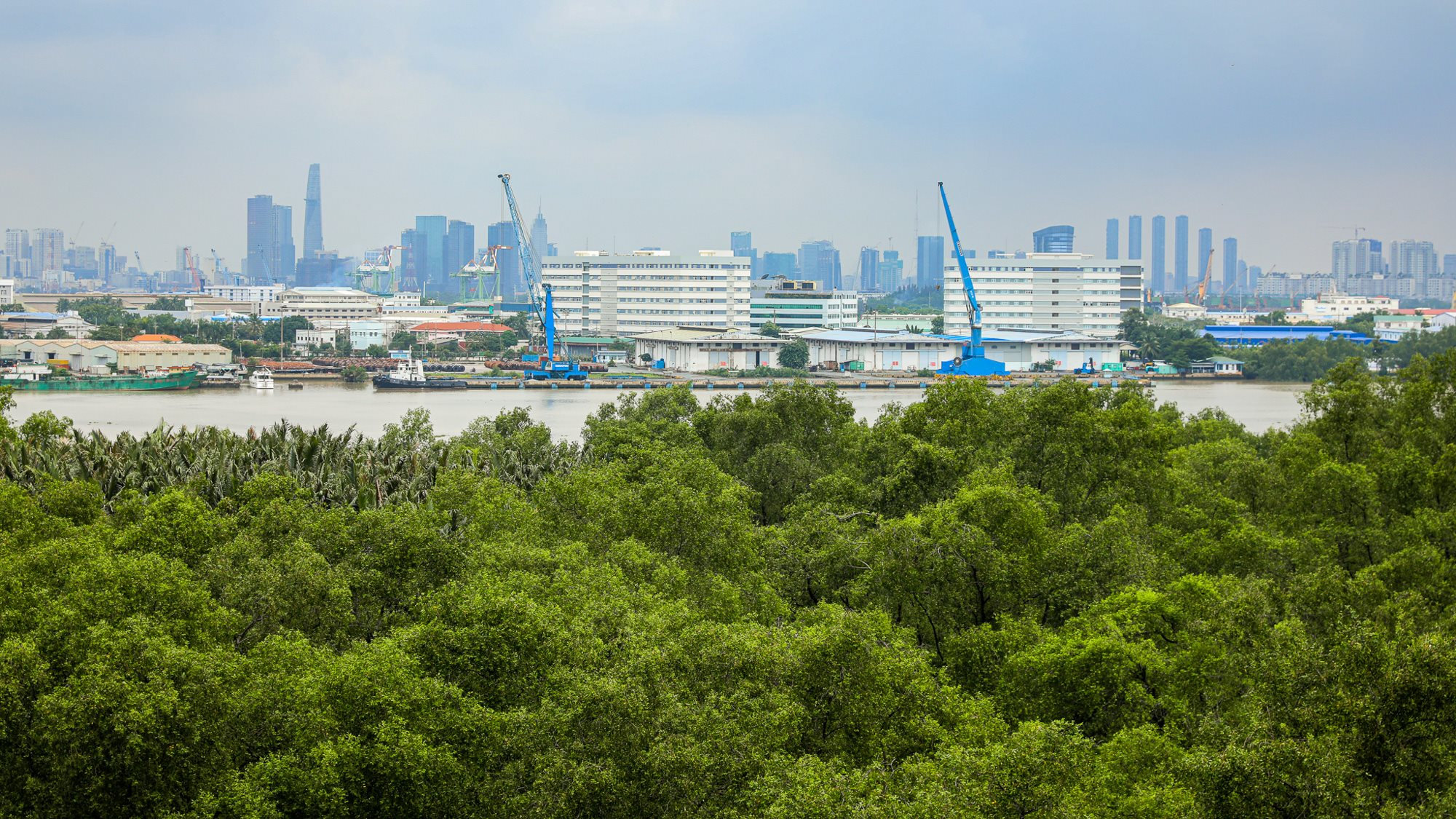 11_ban-dao-thu-thiem.jpg