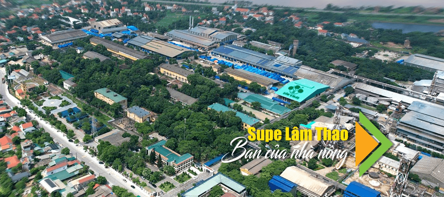 Sức mua yếu gây áp lực cho hoạt động kinh doanh, lãi ròng quý II của Supe Lâm Thao (LAS) giảm