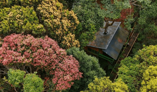 1 điểm đến của Việt Nam vừa được đề cử Làng du lịch tốt nhất thế giới 2026: Cây "mọc trong nhà thủng cả mái", du khách đến rồi khó quên