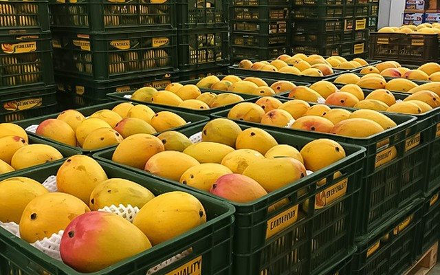 Một ngành hàng của Việt Nam lập kỷ lục tỷ USD chưa từng có, Trung Quốc, Mỹ, Hàn Quốc có đóng góp lớn