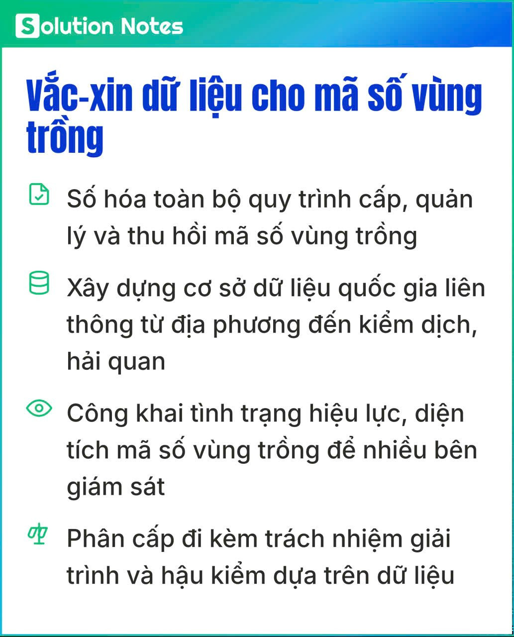 ma-so-vung-trong.jpg
