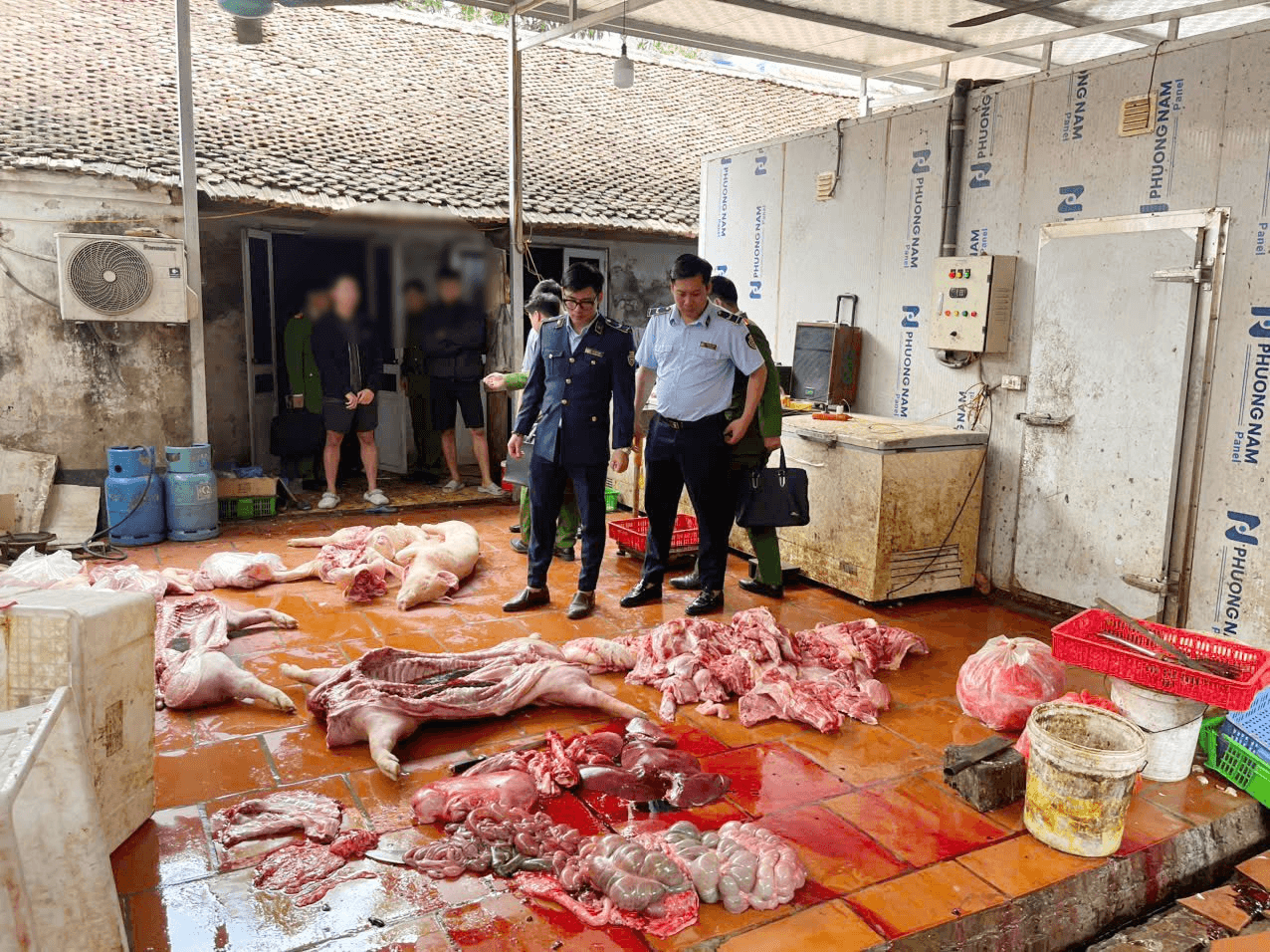 Phát hiện gần 1 tấn thịt lợn nghi nhiễm dịch tại Hưng Yên 
