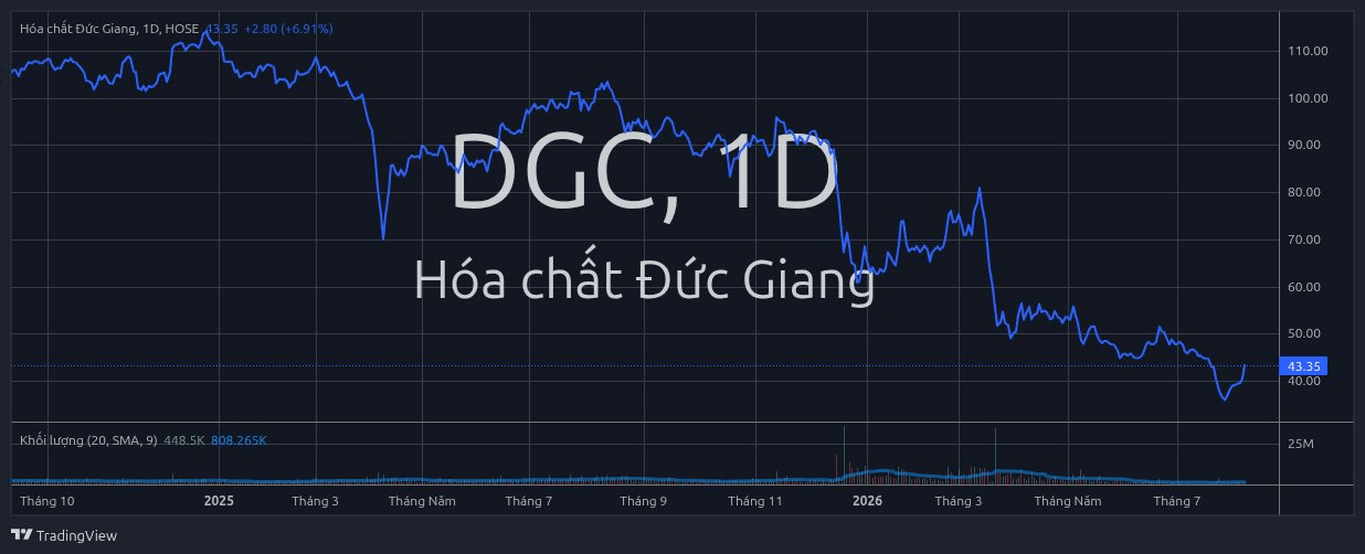 dgc_2026-08-06_11-30-42.png