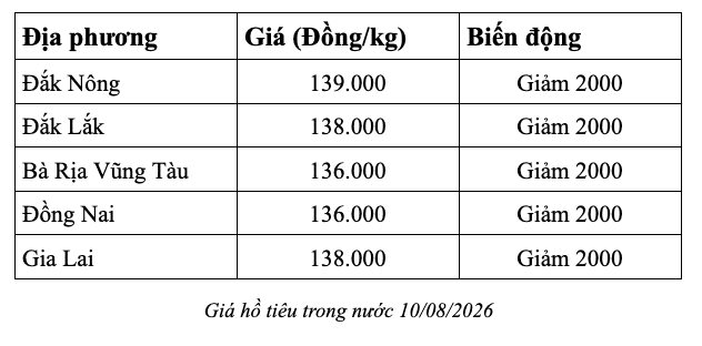 anh-man-hinh-2026-08-10-luc-07.19.15.png