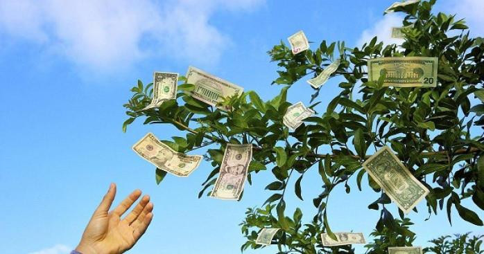 Một công ty sắp trả cổ tức 2.500 đồng/cp, gần 2 thập kỷ không năm nào quên “mưa tiền mặt” cho cổ đông
