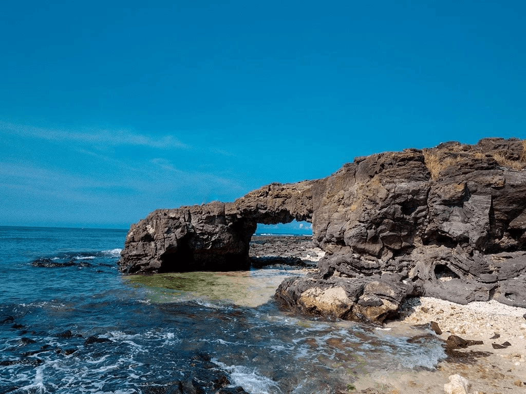qua-trinh-hinh-thanh-cong-da-to-vo_1747494654.png